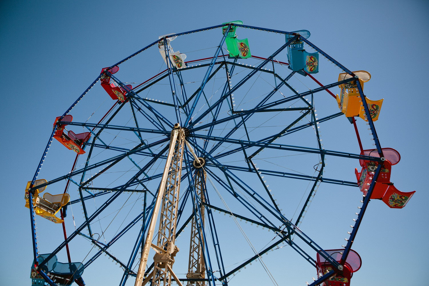 Summer Fun Zone Fun with Pickle Minnicucci!! Photos By Asami Zenri - Ferris Wheel