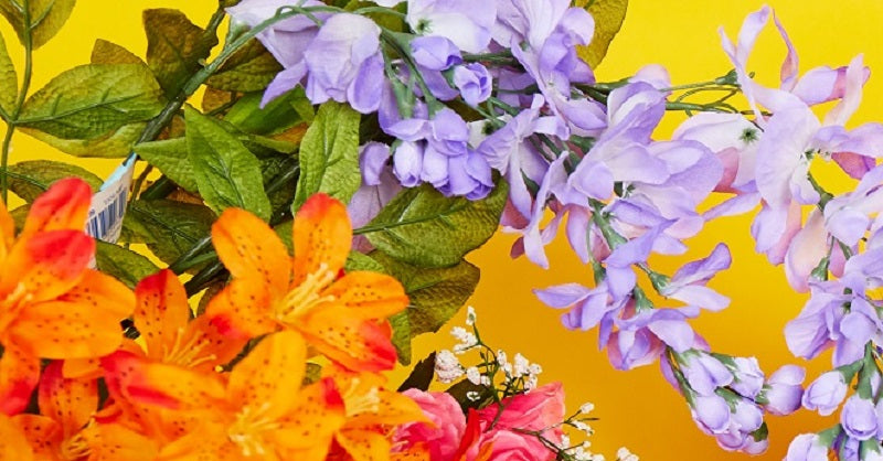 Real Flowers. HANA Tyszka