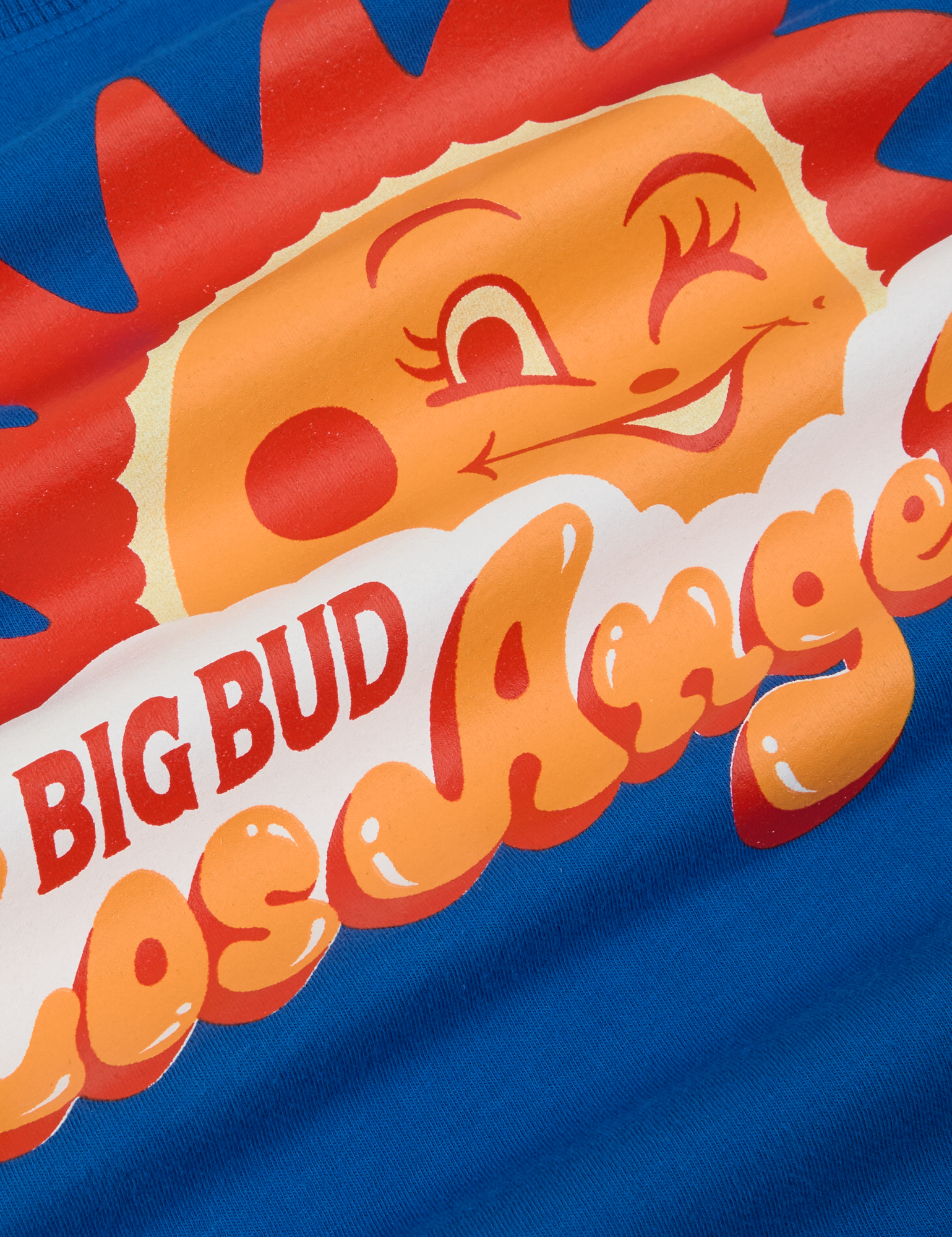 Sunny Los Angeles Tourist Tee close up