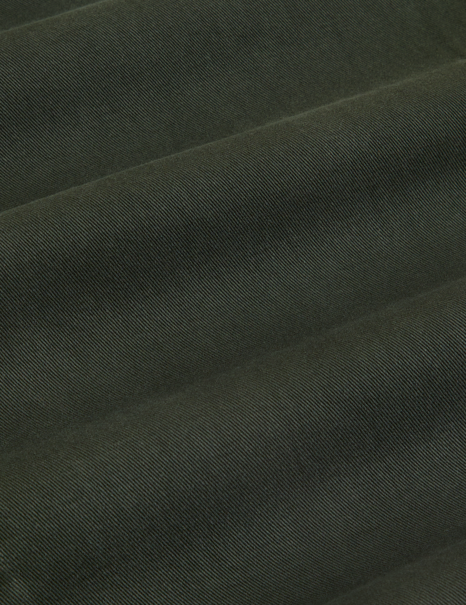 Heavyweight Trousers in Swamp Green fabric detail close up