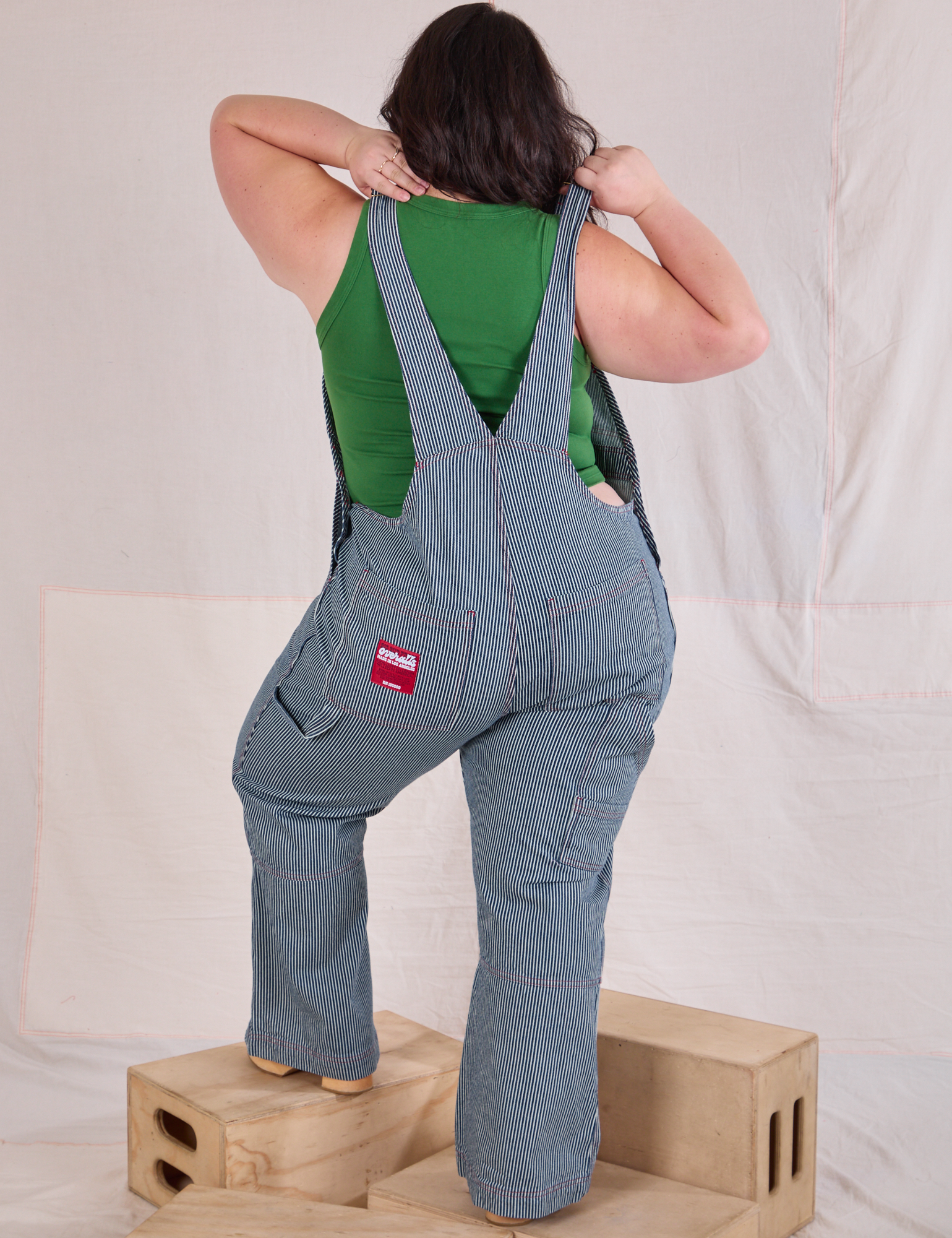 Carpenter Overalls in Railroad back view on Ashley