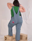 Carpenter Overalls in Railroad back view on Ashley