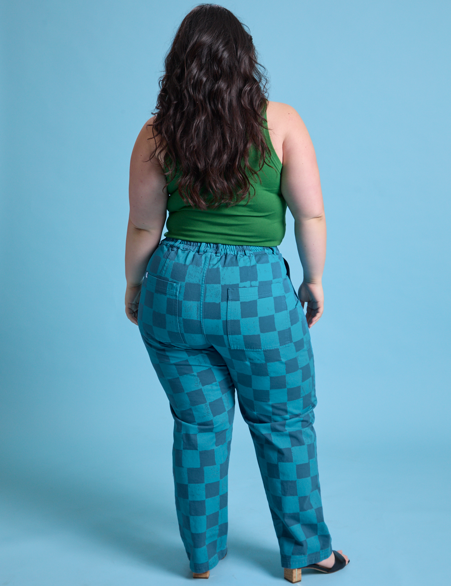 Checkerboard Work Pants in Blues back view on Ashley