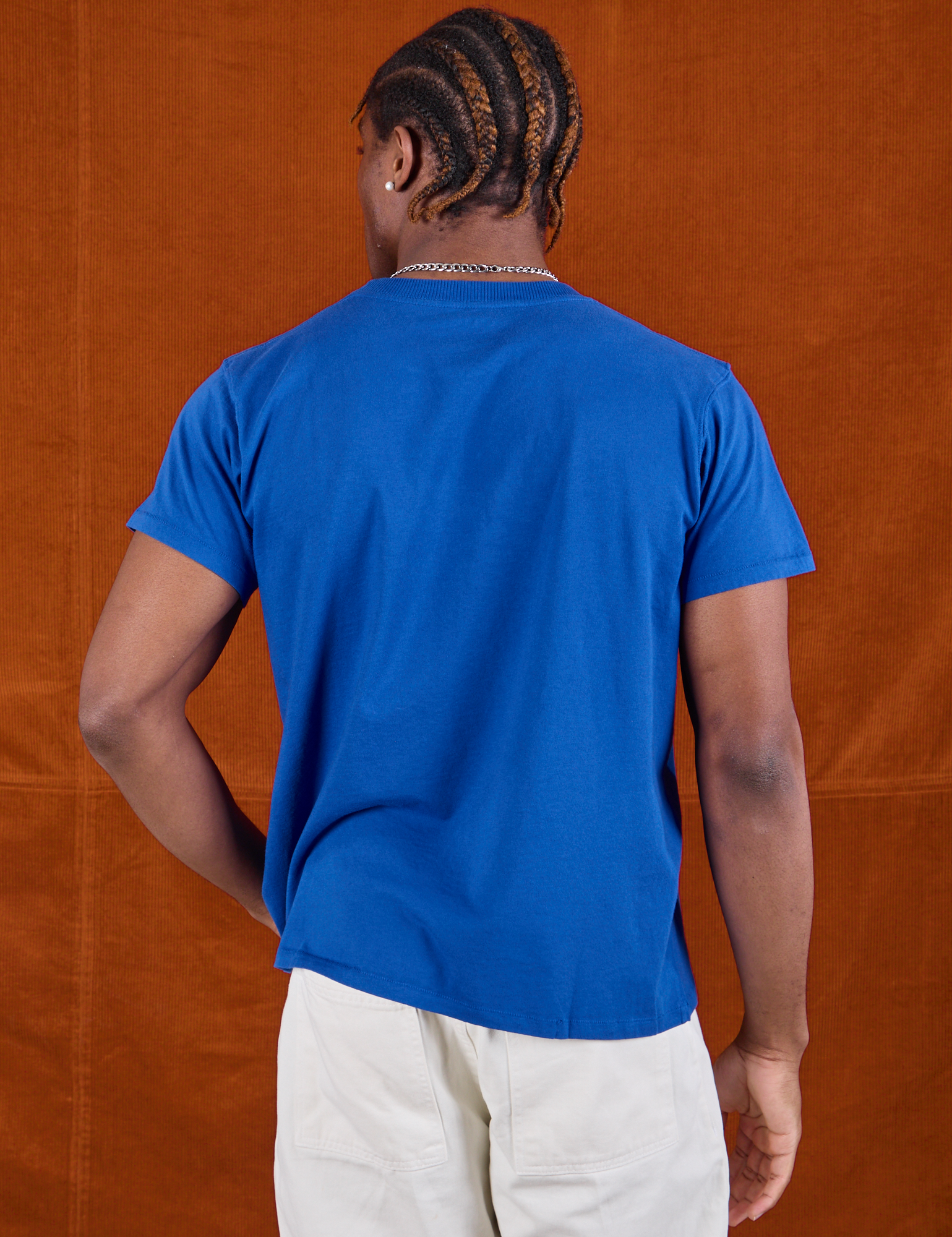 BBP Tiger Tee back view on Isaac