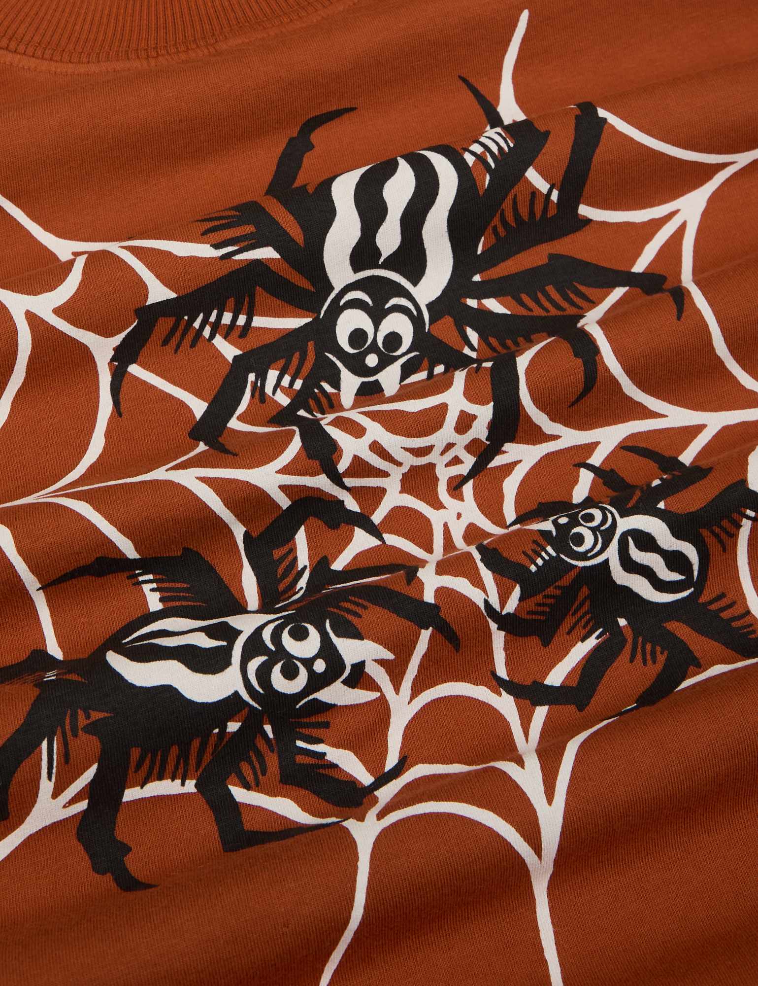 Close up of black and white spiders on a white spiderweb