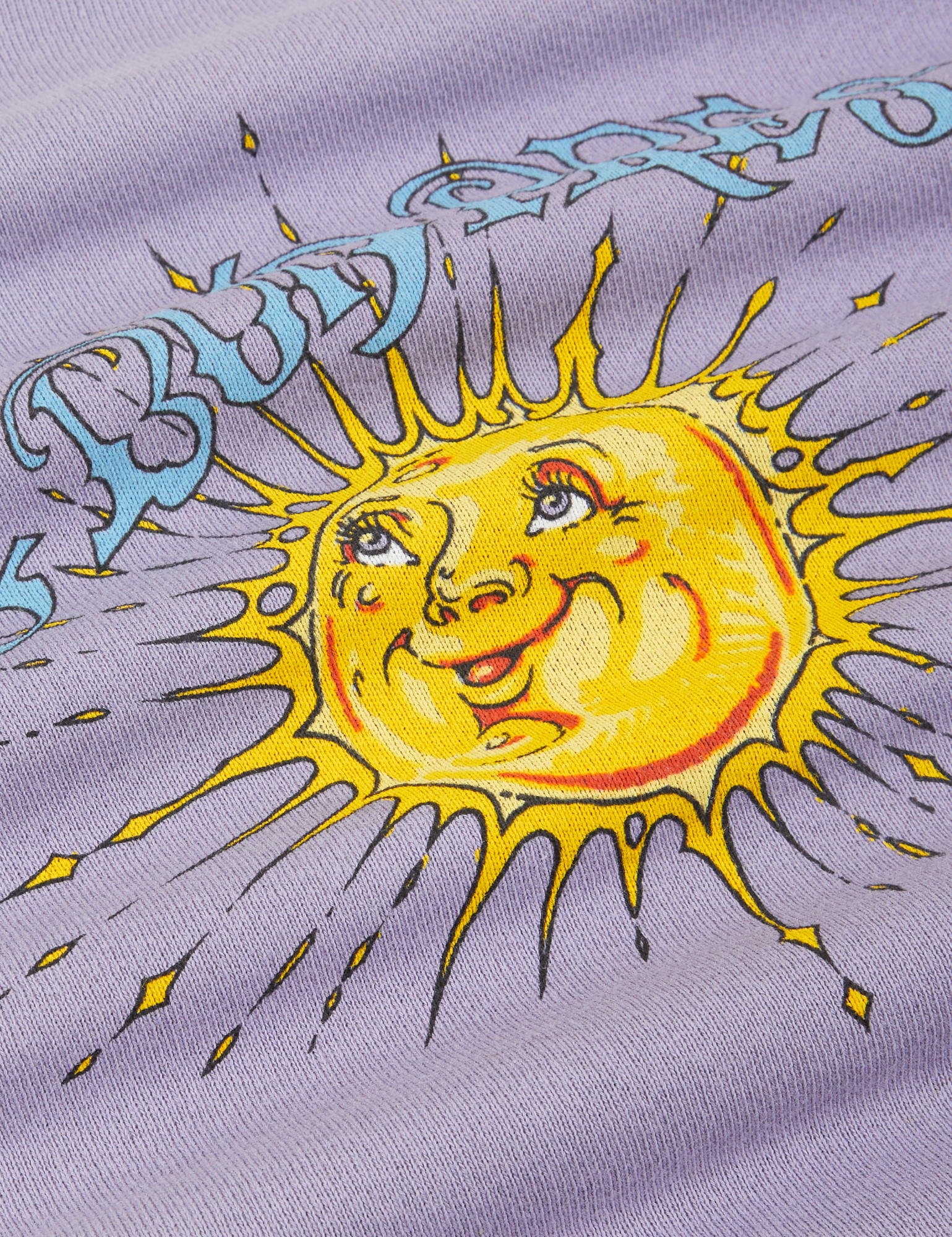 Bill Ogden&#39;s Sun Baby Crew in Faded Grape fabric detail close up. 