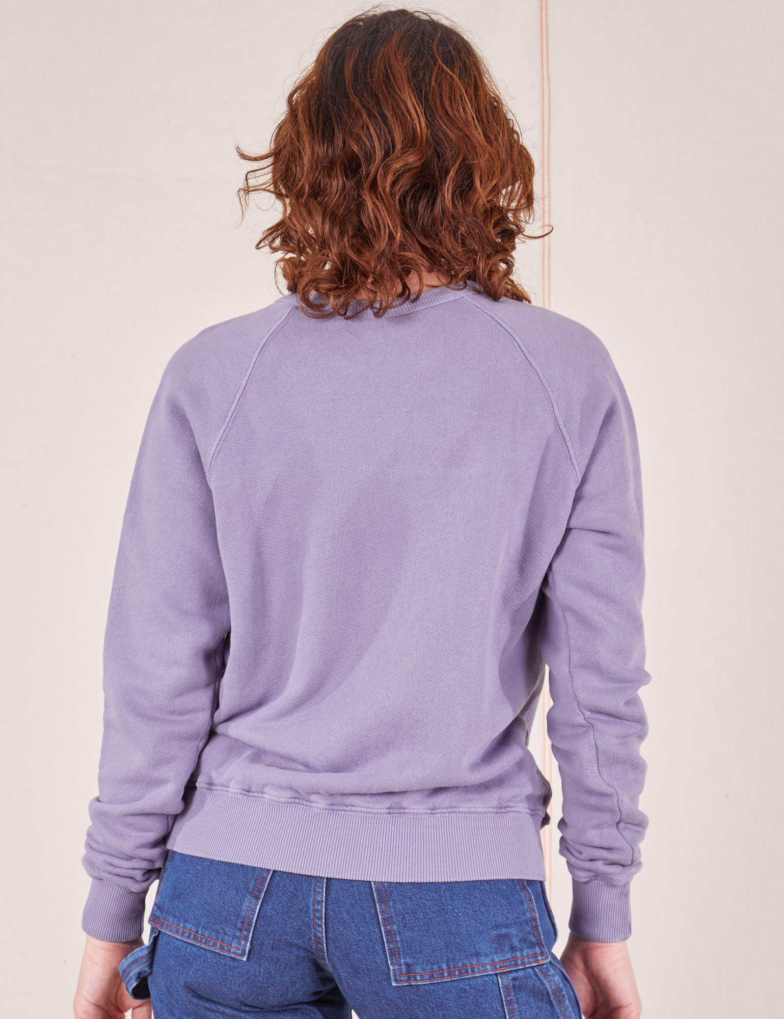 Bill Ogden&#39;s Sun Baby Crew in Faded Grape back view on Alex