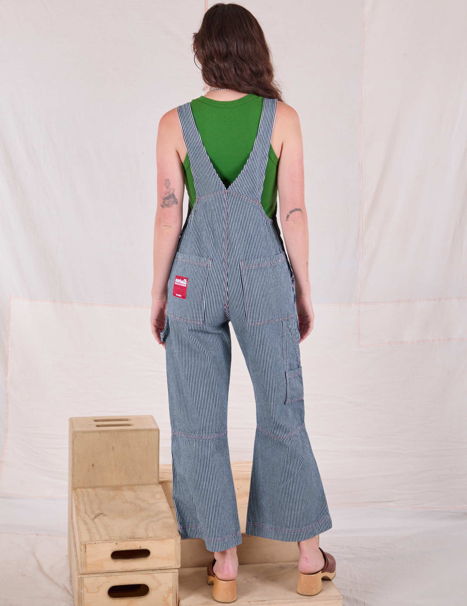 Carpenter Overalls in Railroad back view on Alex