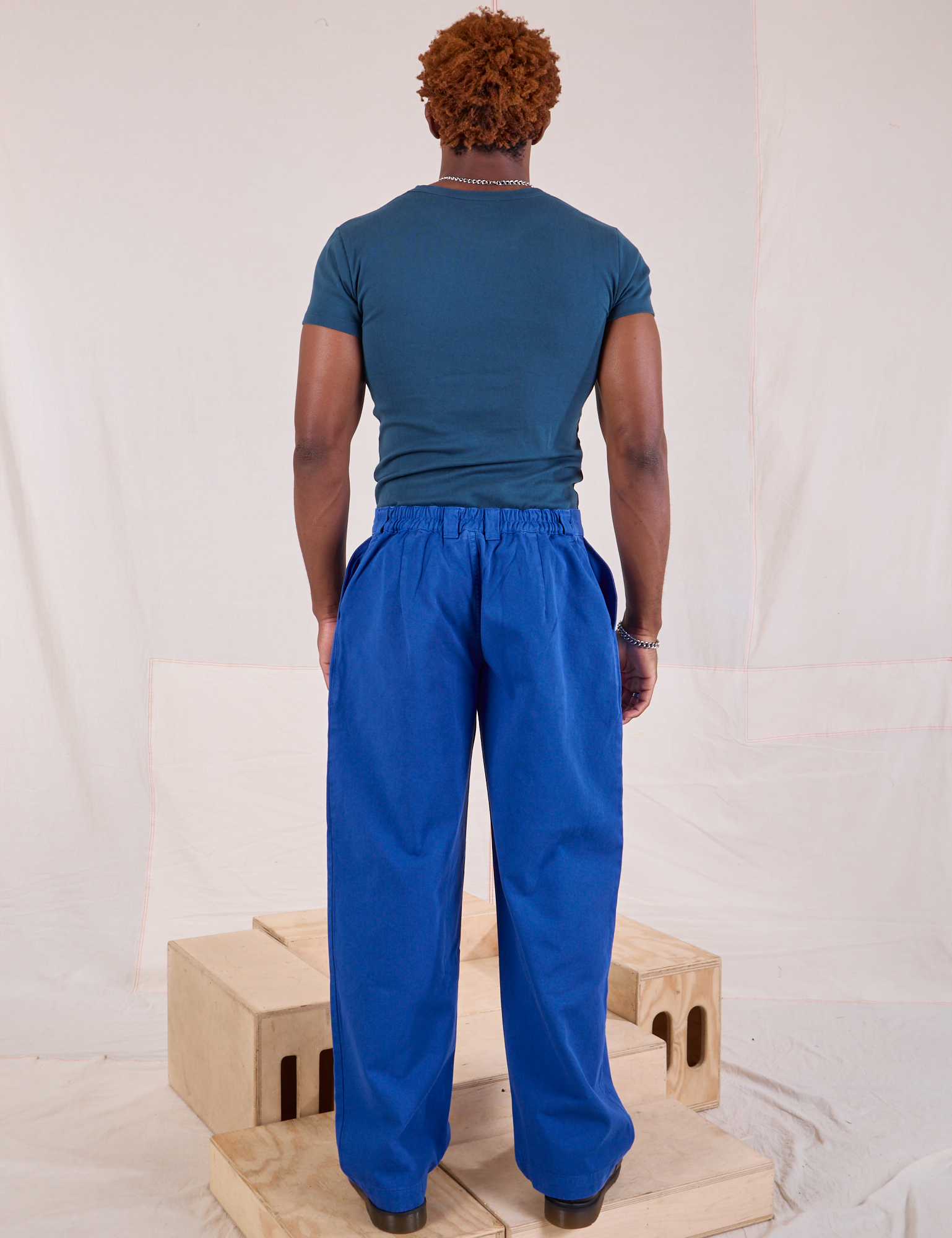 Back view of Mid-Rise Pleated Trousers in Royal Blue and lagoon Baby Tee on Issac