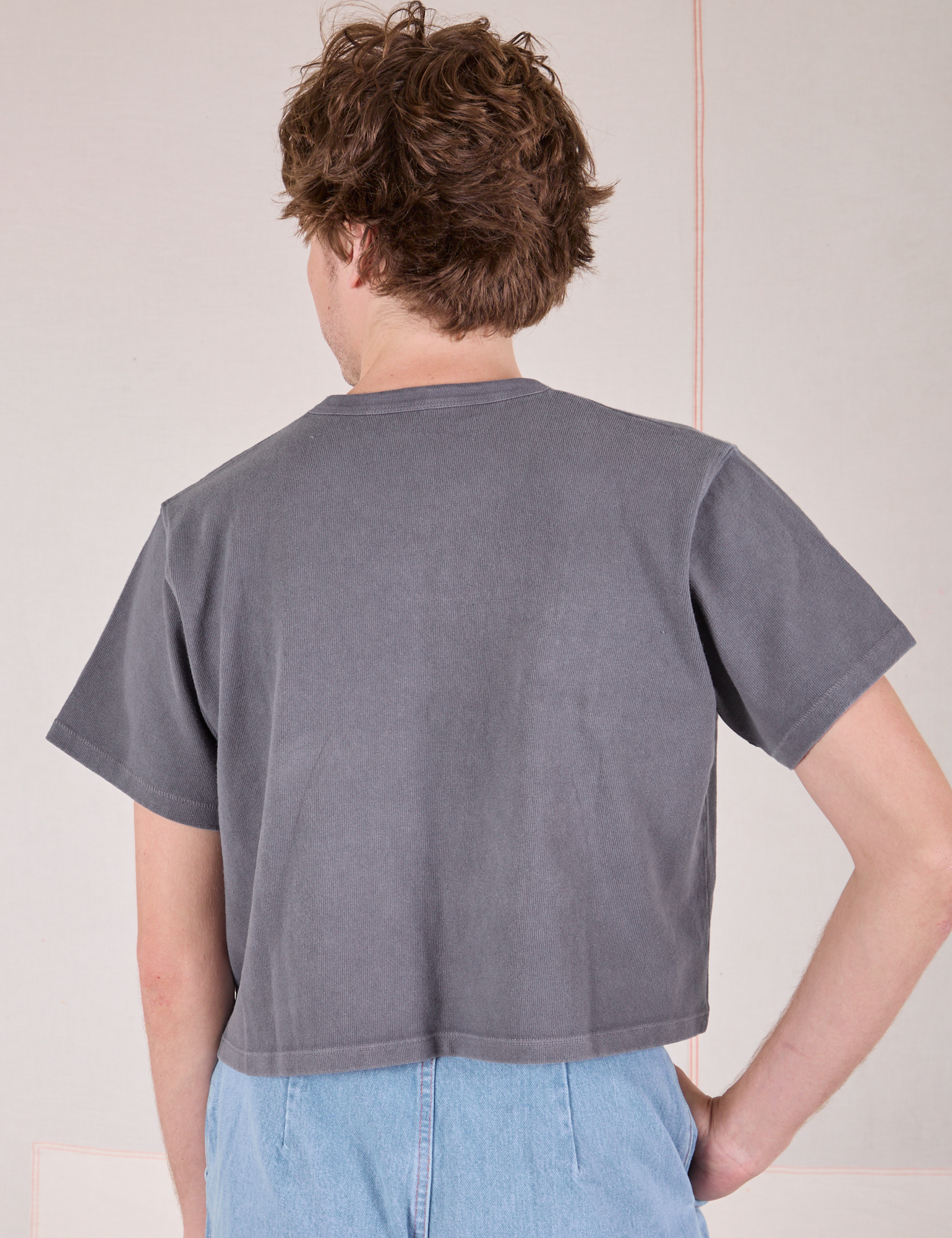 Cropped Burly Tee in Washed Grey back view on Quinn