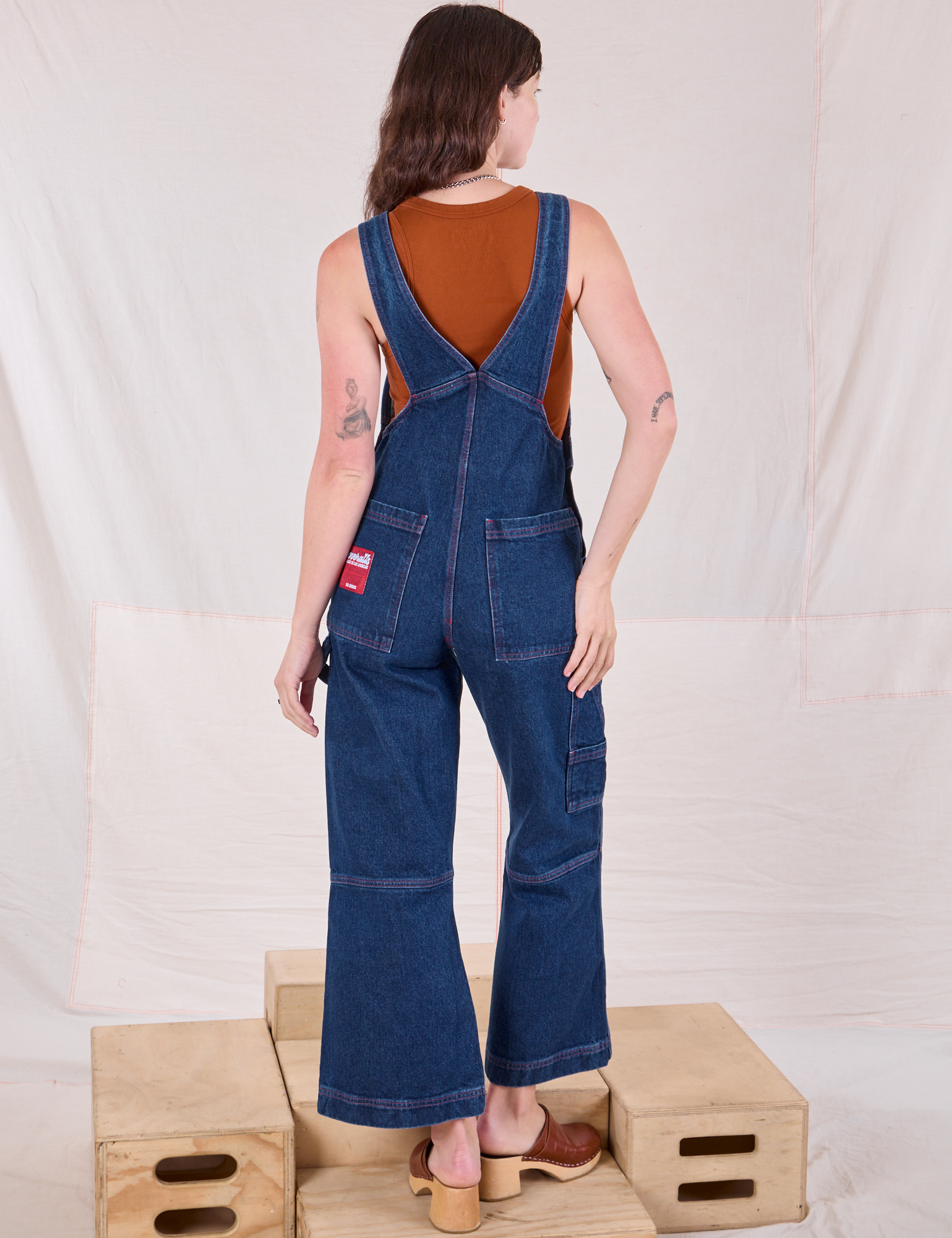 Carpenter Overalls in Dark Wash back view on Alex