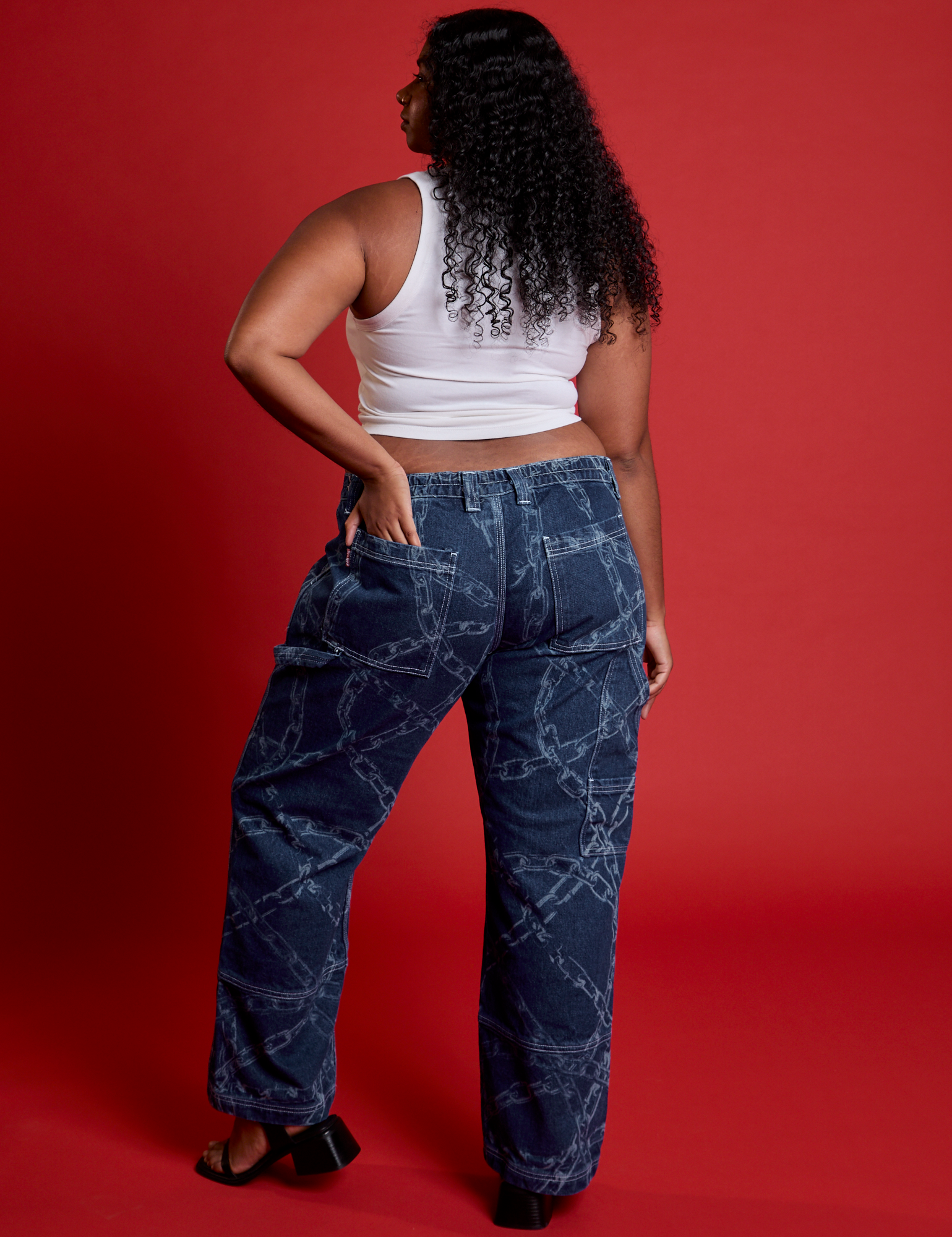 Mid-Rise Carpenter Jeans in Chain Link back view on Meghna