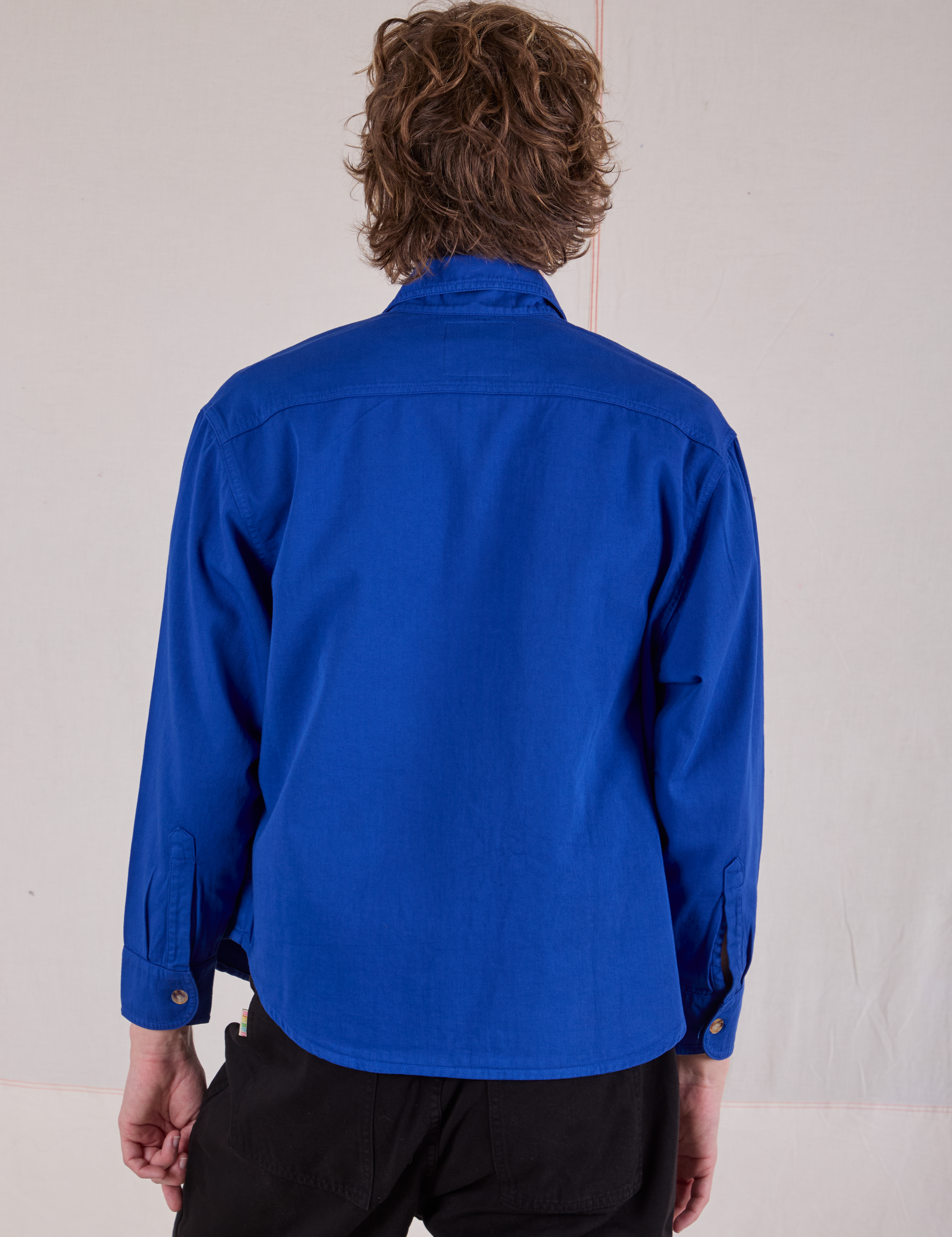 Cropped Overshirt in Royal Blue back view on Quinn