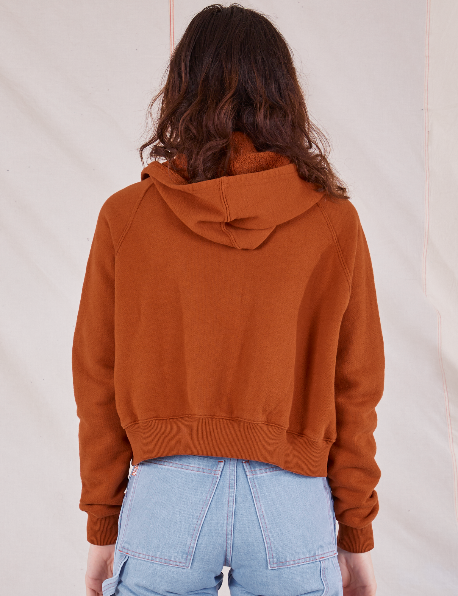 Cropped Zip Hoodie in Burnt Terracotta back view on Alex