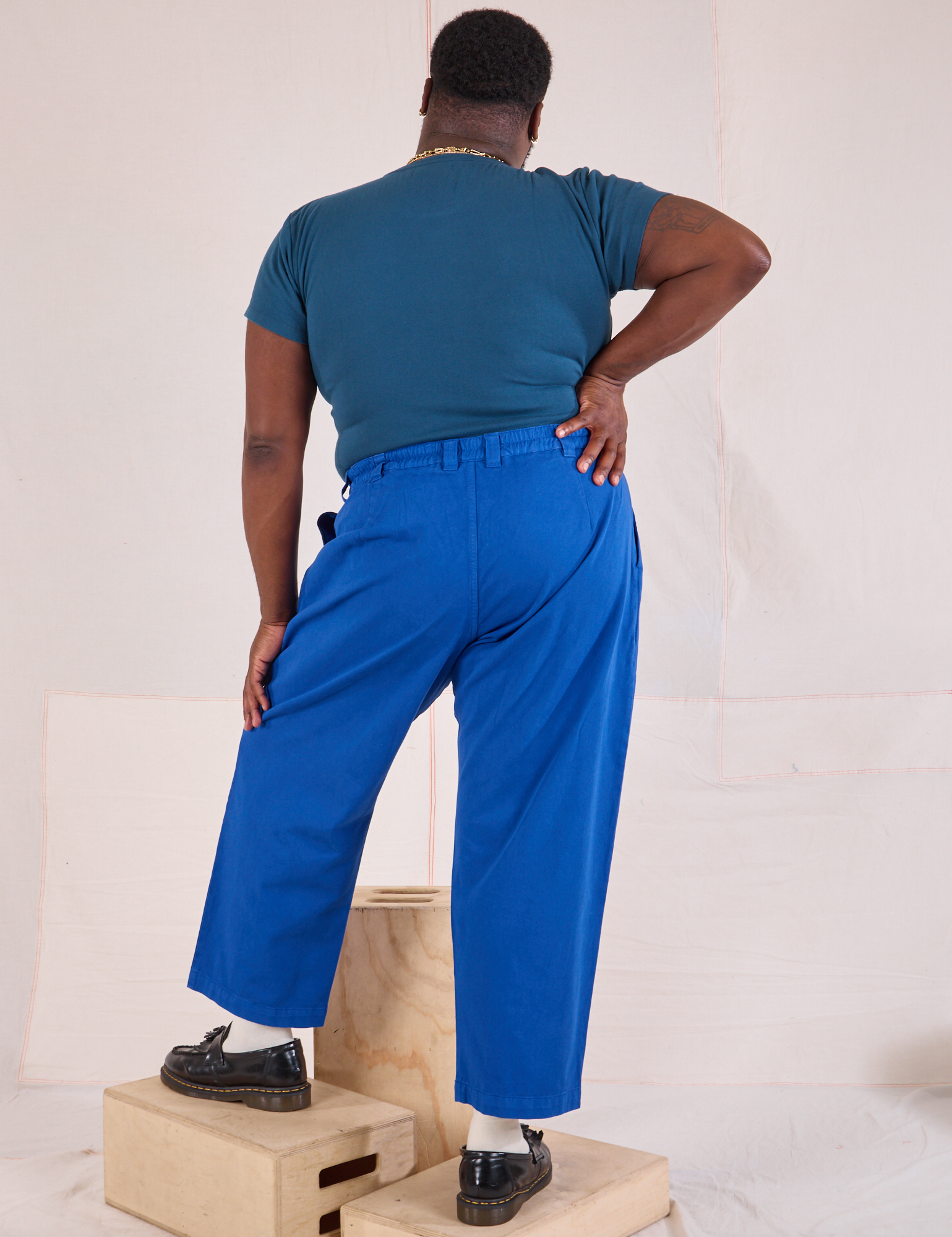 Back view of Mid-Rise Pleated Trousers in Royal Blue and lagoon Baby Tee on Elijah