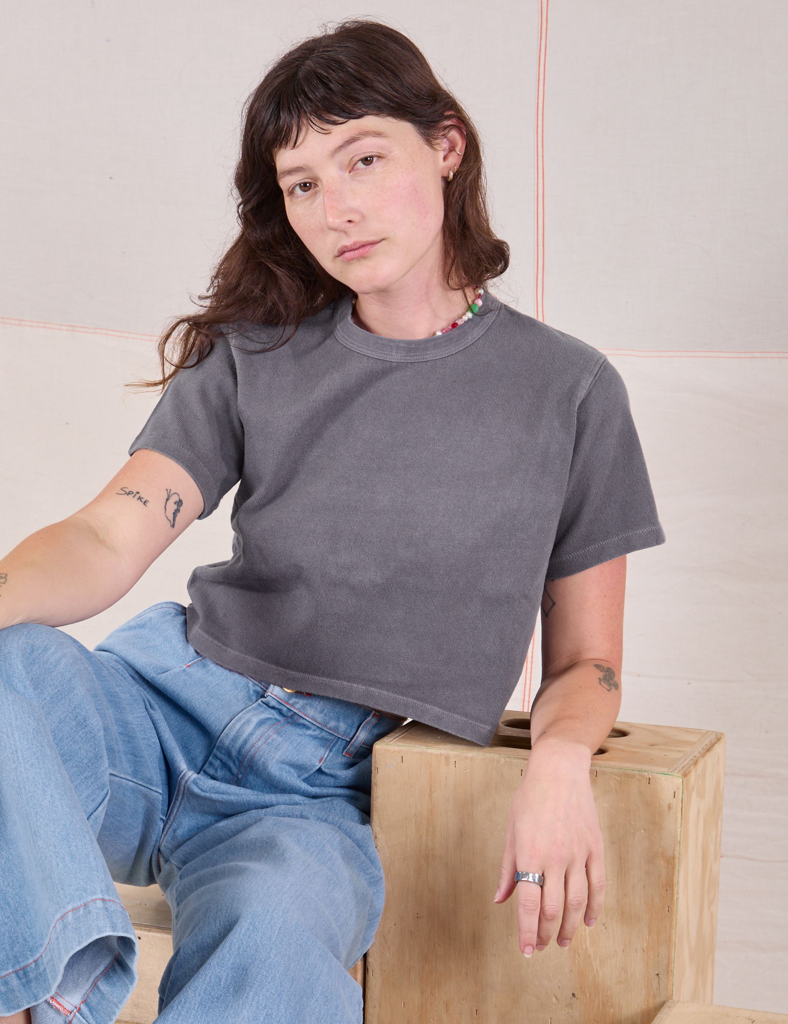 Cropped Burly Tee in Washed Grey worn by Alex