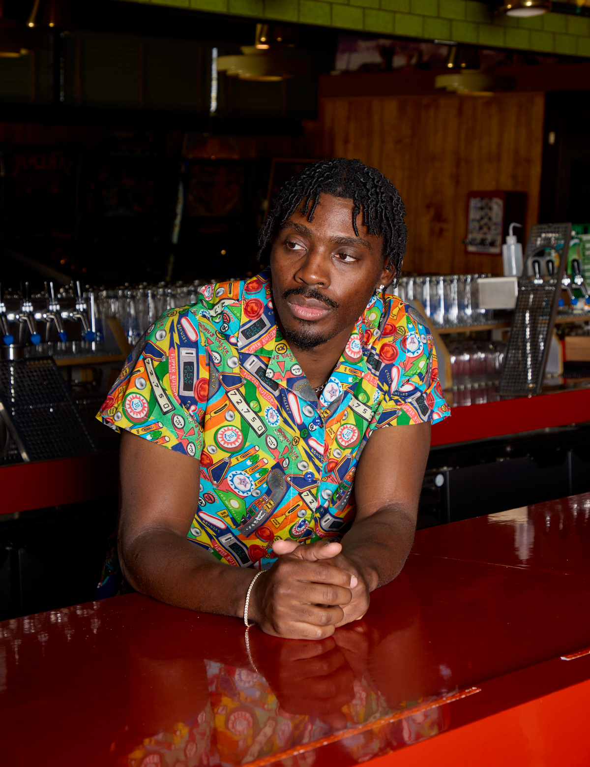 Pinball Playfield Pantry Button-Up